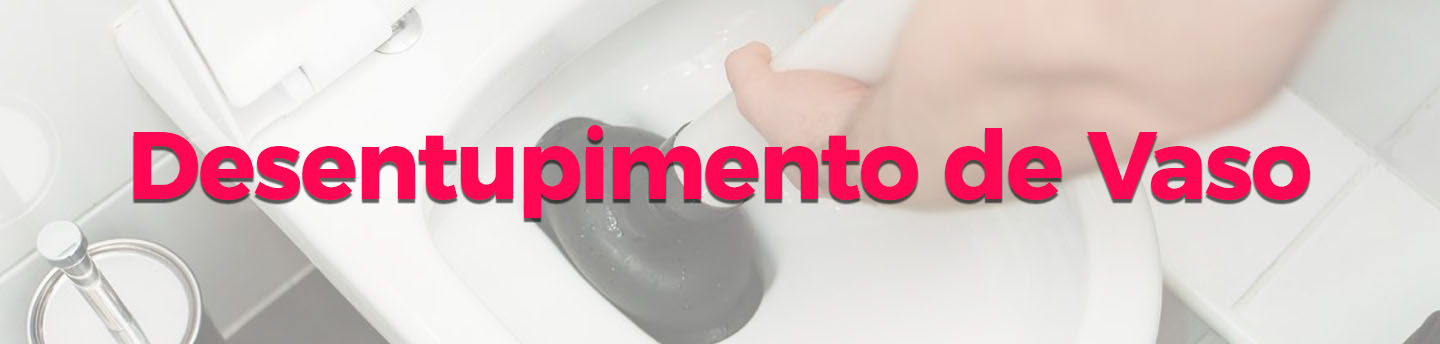 Desentupidora de vaso em Contagem e Regi�o